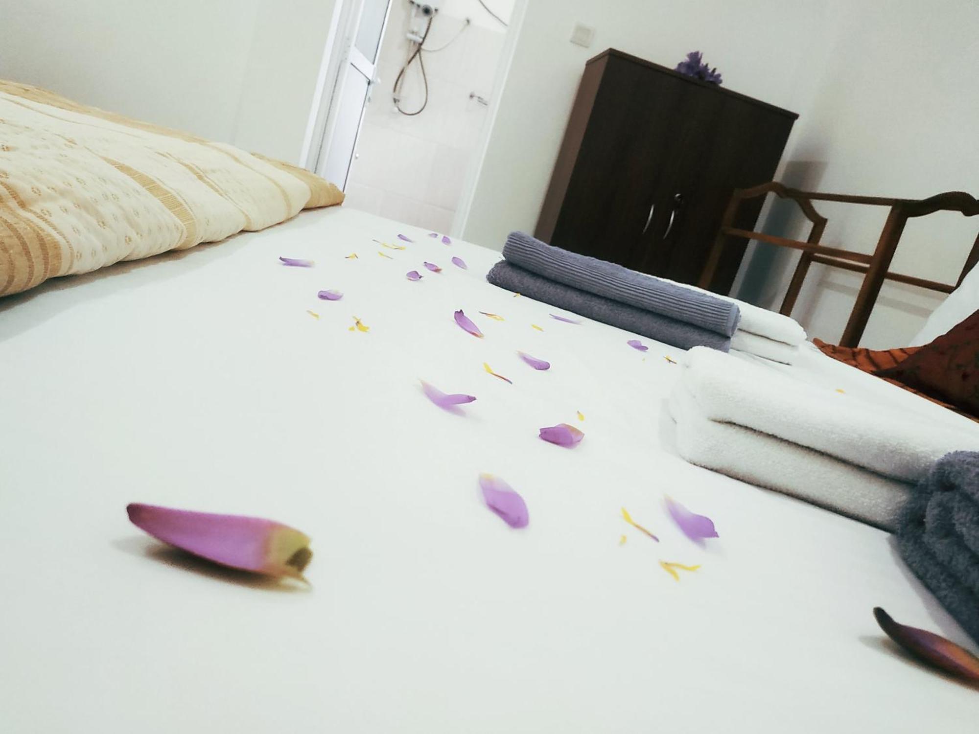 Four Seasons Safari Resort Udawalawa 达瓦拉维 外观 照片